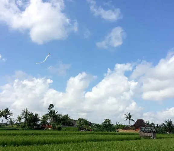 Rumah Semanggi 4*
